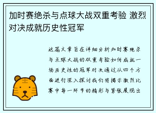 加时赛绝杀与点球大战双重考验 激烈对决成就历史性冠军
