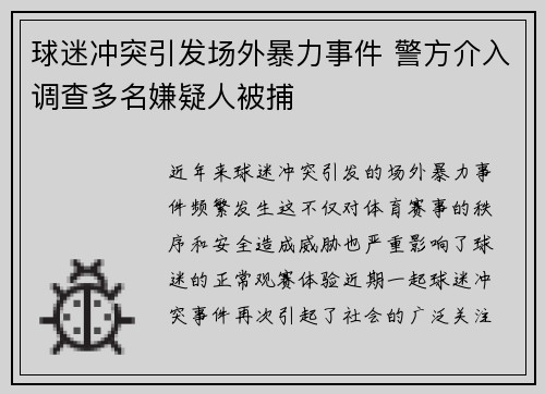 球迷冲突引发场外暴力事件 警方介入调查多名嫌疑人被捕