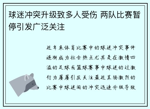 球迷冲突升级致多人受伤 两队比赛暂停引发广泛关注
